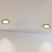 Eglo Fueva 5 LED vgradni žaromet  (5,5 W, Toplo bela, Nikelj mat barve, Ø x V: 11,7 x 2,6 cm) | Vgradni žarometi | Reflektorji in žarometi | Svetila | Elektro in svetila | Izdelki | BAUHAUS