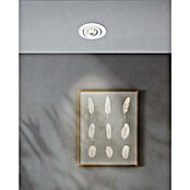 Eglo Set okroglih LED vgradnih svetilk Saliceto Mini-Puck  (4,2 W, Ø x V: 7,7 x 2,3 cm, Bela, Toplo bela) | Vgradni žarometi | Reflektorji in žarometi | Svetila | Elektro in svetila | Izdelki | BAUHAUS