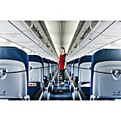 Kärcher Električni usisivač za suho usisavanje u zrakoplovu T 12/1  (900 W, Zapremina spremnika: 12 l) | BAUHAUS