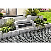Terrassenplatte Granit G603 (Hellgrau, 40 x 40 x 3 cm, Granit)