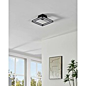 Eglo LED-Deckenleuchte ALTAFLOR (11,2 W, L x B x H: 31,5 x 31,5 x 70 cm, Schwarz, Warmweiß) | BAUHAUS