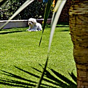 Umjetna trava  (20 mm, 100 x 400 cm) | BAUHAUS