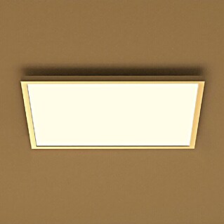 Philips Hue LED-Panel Surimu (60 W, L x B x H: 60 x 60 x 4,8 cm, Weiß, Opal, RGBW)