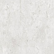 LOGOCLIC Küchenarbeitsplatte nach Maß Elementa + (Titania Grey, Stärke: 2,5 cm, Breite: 65 cm) | BAUHAUS
