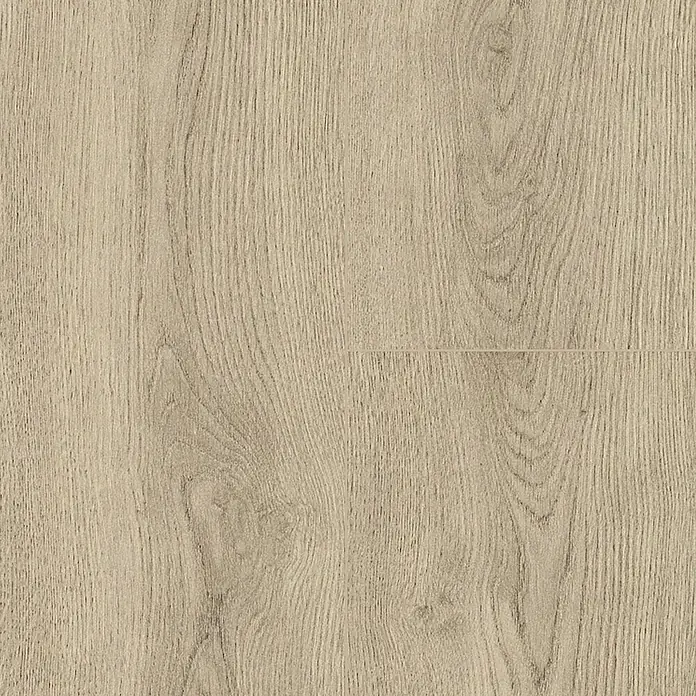 LOGOCLIC Vinto Laminat Classic - Eiche Flinton, Landhausdiele, 1.288 x 195 x 8 mm - Nahaufnahme eines hellen Holzfußbodens mit einer deutlichen Maserung, ideal für moderne Innenräume.