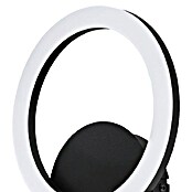 Eglo LED-Deckenleuchte PARRAPOS-Z (12 W, L x B x H: 20 x 24 x 24 cm, Schwarz) | BAUHAUS