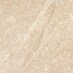 Beige/Gold