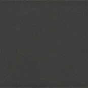 Modern Style Wandfliese Manhattan Biselado Cince 670 (9,8 x 29,8 cm, Anthrazit, Glänzend) | BAUHAUS