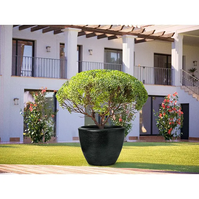 Capi Europe Übertopf rund Arc Granite - Außenmaß (Ø x H): 156 x 90 cm, Schwarz, Kunststoff, Matt - Ein dekorativer Kugelbaum in einem eleganten, schwarzen Pflanzgefäß, perfekt für Garten und Terrasse, als Blickfang.