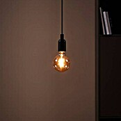 Eglo Bombilla LED Ámbar (E27, No regulable, Blanco cálido, 330 lm, 4 W, G95) | BAUHAUS