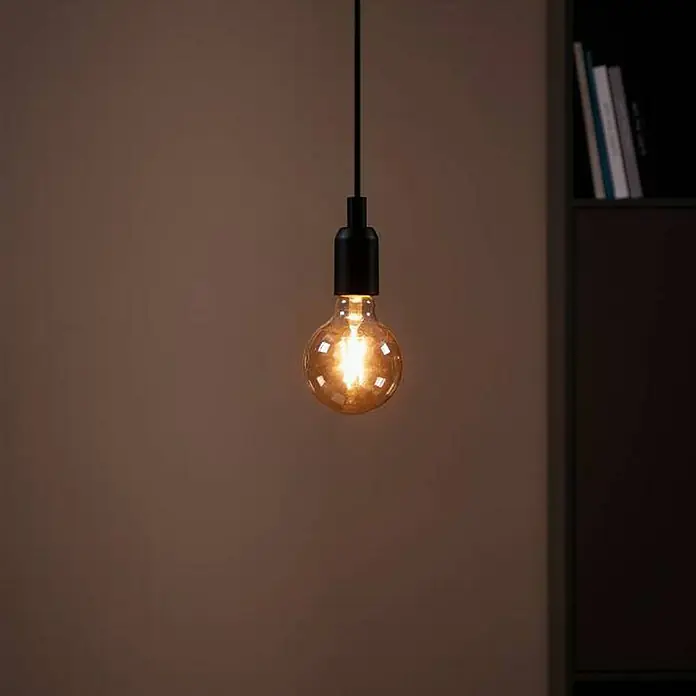 Eglo Bombilla LED Ámbar - E27, No regulable, Blanco cálido, 330 lm, 4 W, G95 - Bombilla colgando del techo.