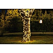 New Garden Guirnalda solar LED Luceo (Para exterior, 10 cm, Blanco cálido) | BAUHAUS