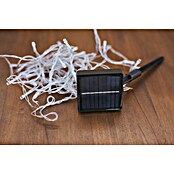 New Garden Guirnalda solar LED Luceo (Para exterior, 10 cm, Blanco cálido) | BAUHAUS