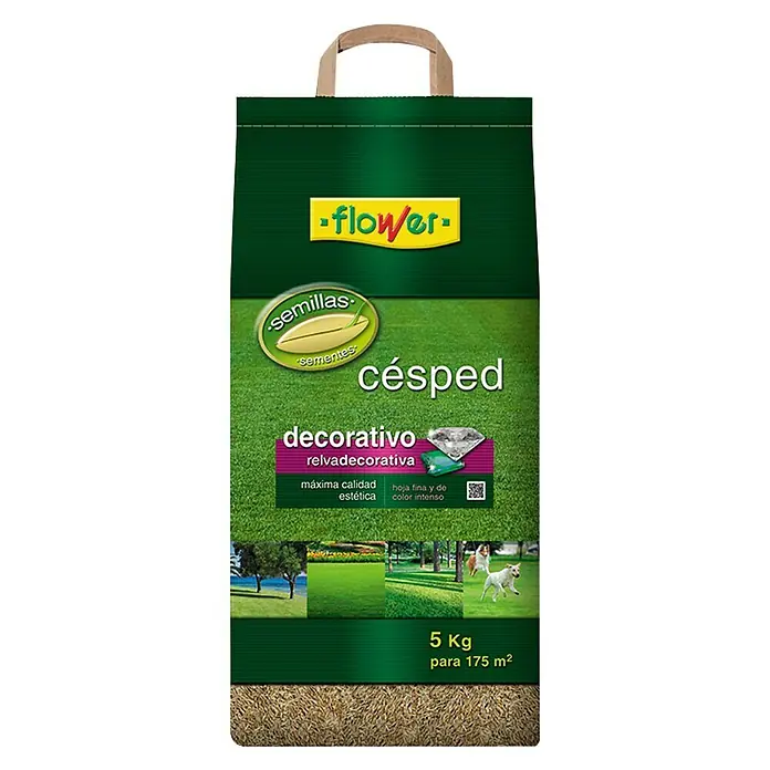 Flower Semillas de césped decorativo - 5 kg, 165 m² - Paquete de semillas de césped verde marca Flower, apto para céspedes decorativos de hasta 175 m².