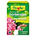 Flower Abono hortensias 