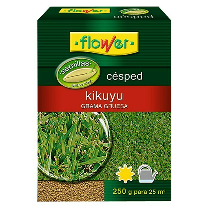 Flower Semillas para césped Kikuyu (250 g)