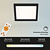 Briloner LED-Panel (18 W, L x B x H: 29,5 x 29,5 x 8 cm, Schwarz, Warmweiß) | BAUHAUS