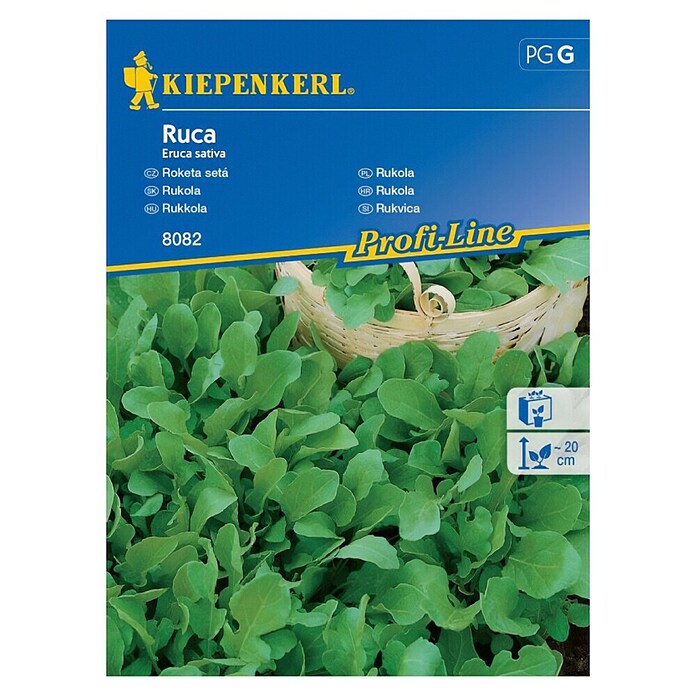Kiepenkerl Profi-Line Solatna semena rukola Ruca  (Eruca sativa, Čas žetve: Vse leto) | 8127 - Feinsämereien in PG Marke | IBYA - Sämereien | IBY - Sämereien | IB - Grünpflanzen/Sämereien | I - Stadtgarten | BAUHAUS