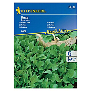 Kiepenkerl Profi-Line Sjeme salate rukola Ruca (Eruca Sativa, Berba: Cjelogodišnje)