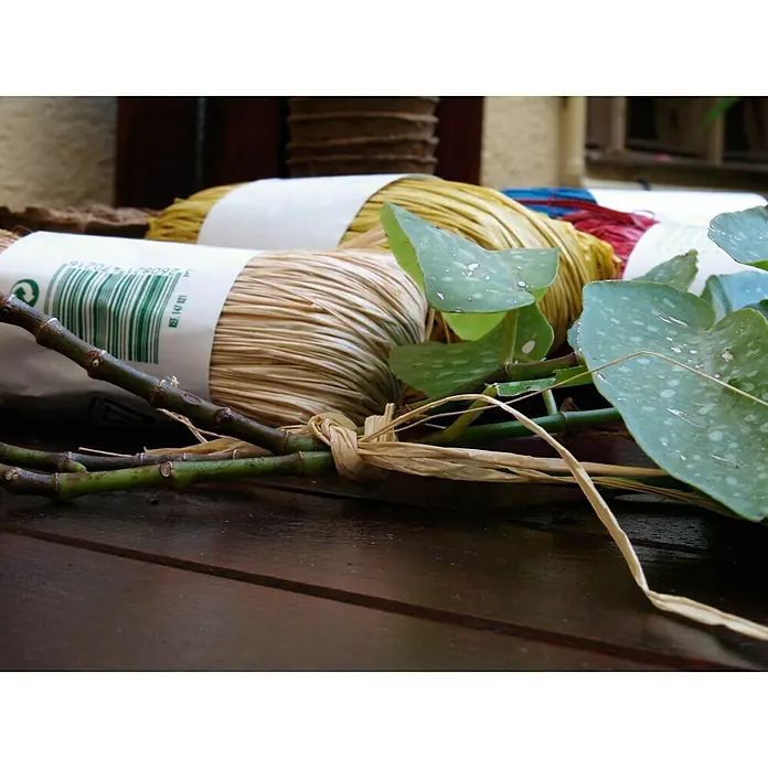 Nortene Cinta de rafia Raphia - 50 g - Primer plano de carretes de hilo de colores con plantas sobre una mesa de madera oscura, ideal para proyectos de artesanía.
