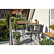 Siena Garden Urban Lights Gartenmöbel-Set (5 -tlg., Polypropylen, Taupe/Anthrazit, Stapelbar) | BAUHAUS