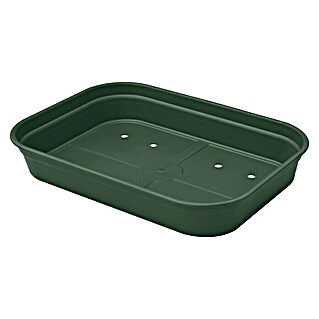 Elho Green Basics Anzuchtschale (Außenmaß (L x B x H): 36 x 25,9 x 6,3 cm, Kunststoff, Laubgrün)