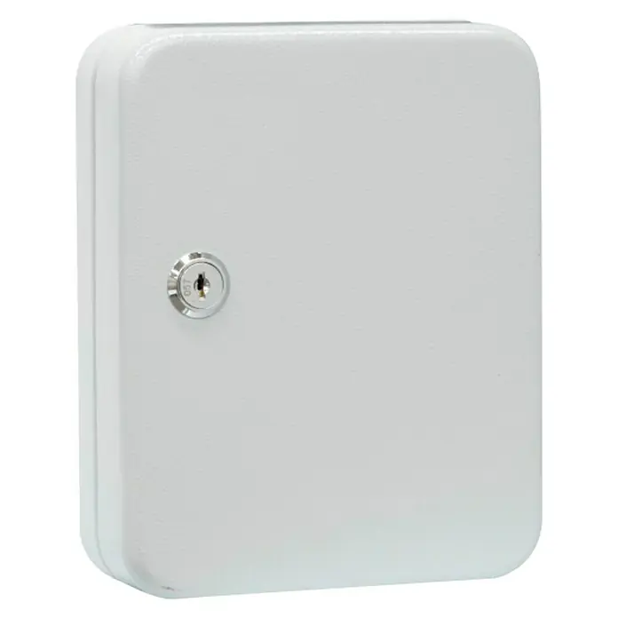 Arregui Armario para llaves PLL20 - L x An x Al: 5 x 16 x 20 cm, Gris - Armario para llaves blanco con cerradura, perfecto para el almacenamiento seguro de llaves. Robusto y fiable.