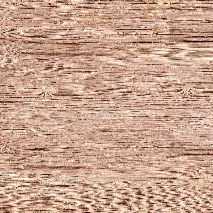Feinsteinzeugfliese Quercia (30 x 60 cm, Beige, Matt) | BAUHAUS