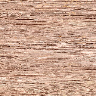 Feinsteinzeugfliese Quercia (30 x 60 cm, Beige, Matt)