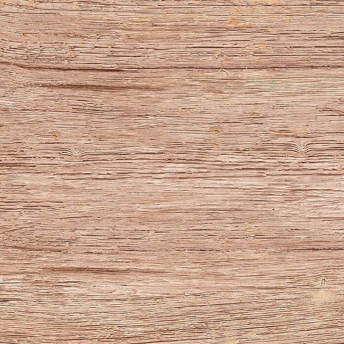 Feinsteinzeugfliese Quercia (30 x 60 cm, Beige, Matt) | BAUHAUS
