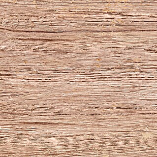 Feinsteinzeugfliese Quercia (30 x 60 cm, Beige, Matt)
