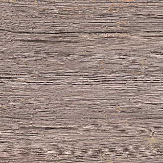 Feinsteinzeugfliese Betulla 2.0 (30 x 60 cm, Braun, Matt)