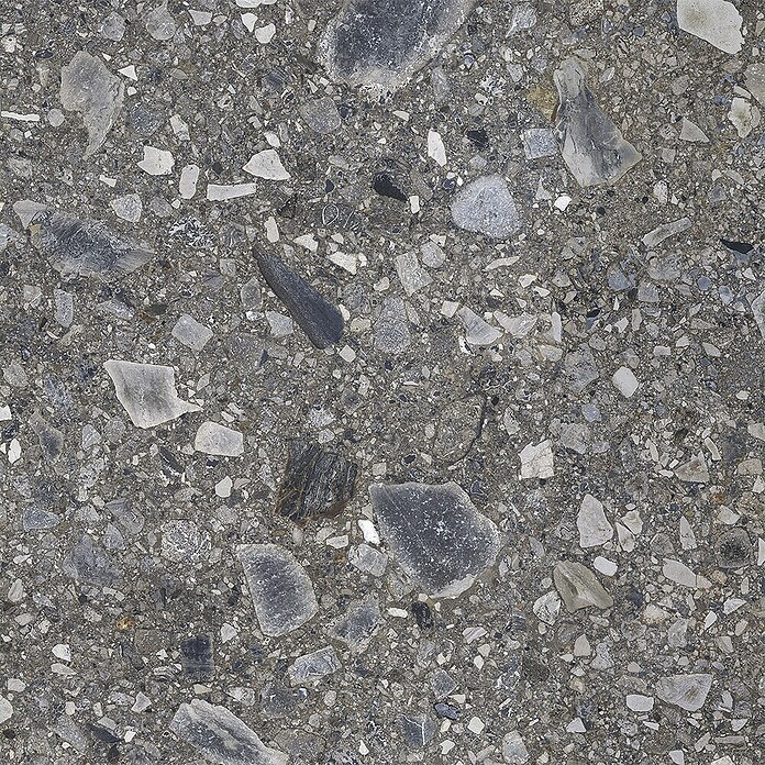 Feinsteinzeugfliese Terrazzo Ceppo (59,7 x 119,7 cm, Graphit, Glänzend) | BAUHAUS