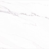 Wandfliese Solo Calacatta (30 x 60 cm, Weiß, Matt) | BAUHAUS