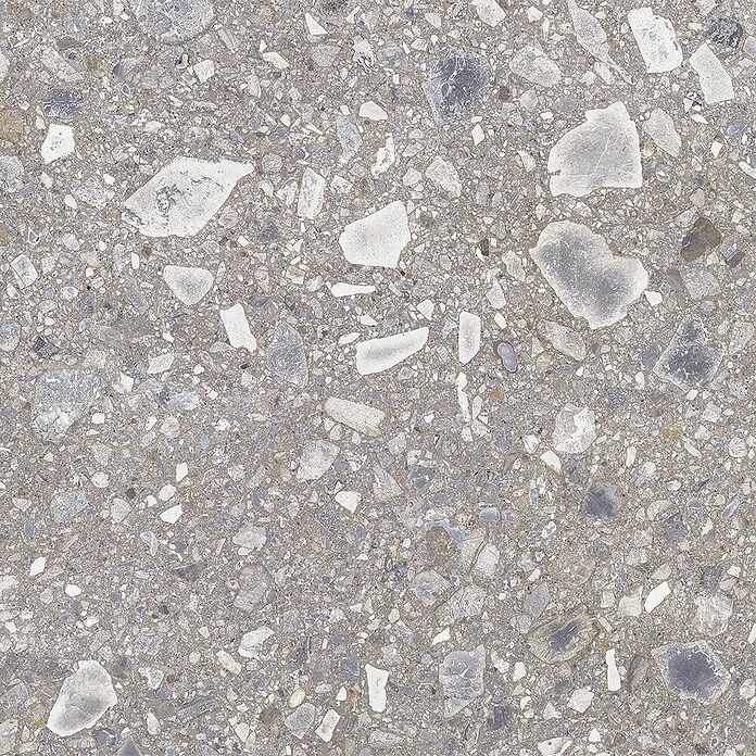 Feinsteinzeugfliese Terrazzo Ceppo (59,7 x 119,7 cm, Silber, Matt) | BAUHAUS