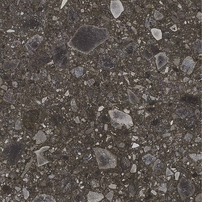 Feinsteinzeugfliese Terrazzo Ceppo (59,7 x 119,7 cm, Schwarz, Glänzend) | BAUHAUS