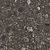 Feinsteinzeugfliese Terrazzo Ceppo (59,7 x 119,7 cm, Schwarz, Matt) | BAUHAUS