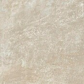 Marazzi Feinsteinzeugfliese Boston (60 x 60 cm, Cream, Matt) | BAUHAUS