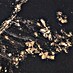 Schwarz/Gold