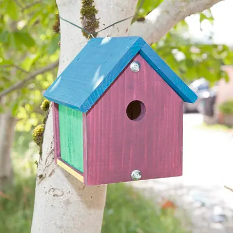 Windhager  Nistkasten Bausatz Robin