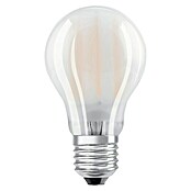 Voltolux Bombilla LED (8 W, E27, Color de luz: Blanco cálido, No regulable, Redondeada)