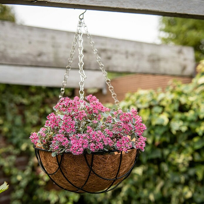 Podloga iz kokosovih vlaken  (Velikost 10) | 8474 - Korbgefässe | IAKA - Gefäße Indoor | IAK - Gefässe,Deko outdoor, Zeitschriften | IA - Gartenhartware | I - Stadtgarten | BAUHAUS