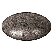Möbelknopf (Ø x H: 40 x 29 mm, Antiksilber)
