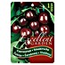 Obstbaum Kirsche 