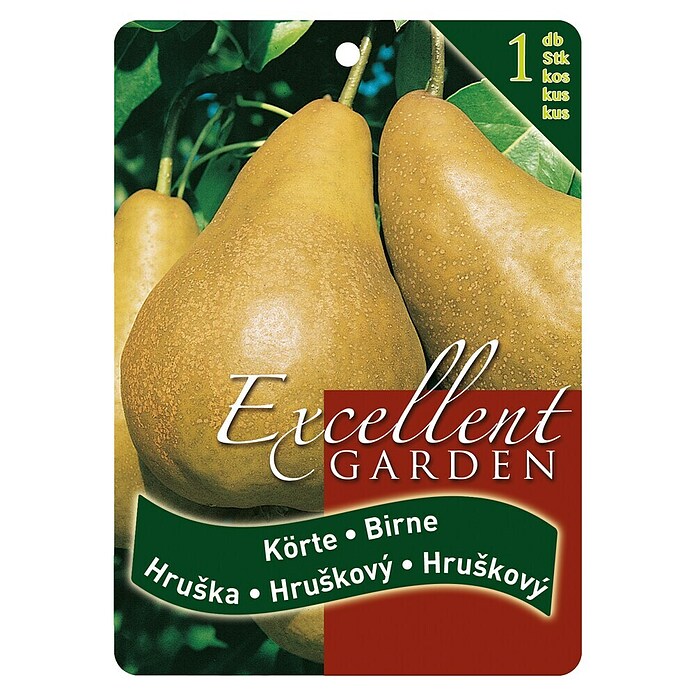 Obstbaum Birne (Pyrucs communis, Wurzelverpackt) | BAUHAUS