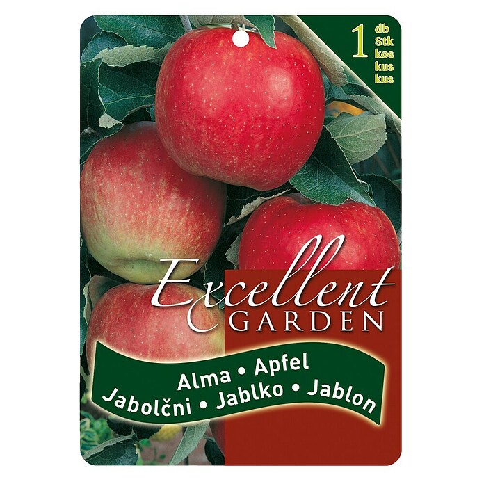 Obstbaum Apfel (Malus domestica, Wurzelverpackt) | BAUHAUS