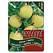 Obstbaum Apfel (Malus domestica, Wurzelverpackt) | BAUHAUS