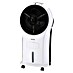 Rointe Climatizador evaporativo Aveiro mini 