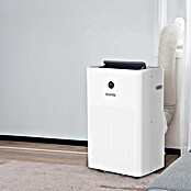 Rointe Aire acondicionado portátil Fiore 3000 (3.500 W, Tamaño de la estancia: 30 m², Blanco) | BAUHAUS