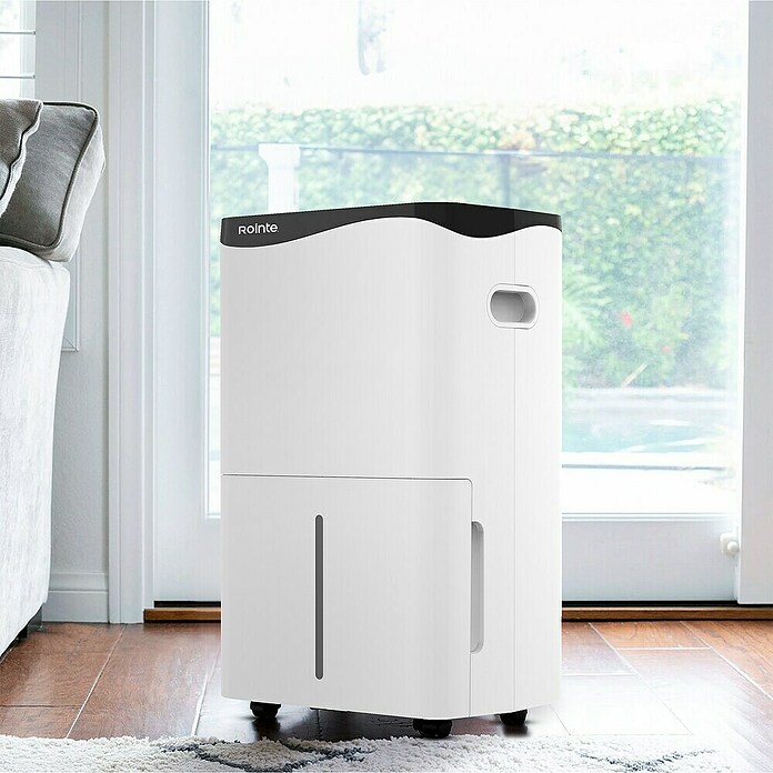 Rointe Deshumidificador DRYPURE PRO (793 W, Potencia de deshumidificación: 50 l/día, Blanco) | BAUHAUS